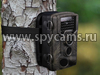 Фотоловушка «Филин HC-800A» закреплена на дереве